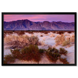 Plakat w ramie Wschód słońca w Anza-Borrego Desert State Park