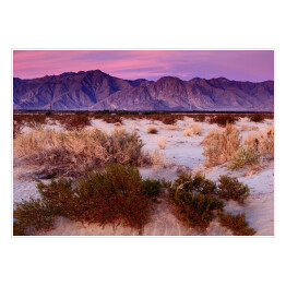 Plakat samoprzylepny Wschód słońca w Anza-Borrego Desert State Park