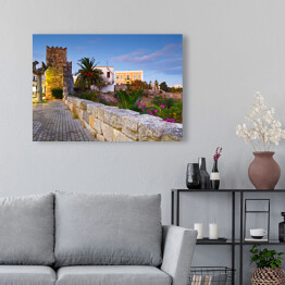 Obraz na płótnie Ruiny starożytnej agory i muru miejskiego miasta Kos