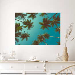 Plakat samoprzylepny Tropikalne palmy, widok od dołu
