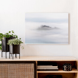 Obraz na płótnie Poranna mgła nad lasem
