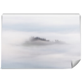 Fototapeta Poranna mgła nad lasem