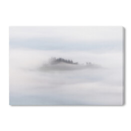 Obraz na płótnie Poranna mgła nad lasem