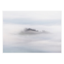 Plakat samoprzylepny Poranna mgła nad lasem