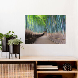 Plakat samoprzylepny Bambusowy gaj w Kyoto, Japonia