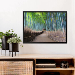 Obraz w ramie Bambusowy gaj w Kyoto, Japonia