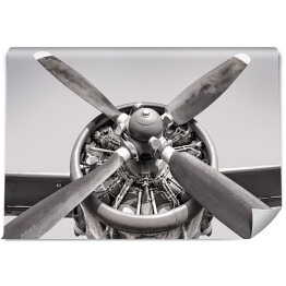 Fototapeta winylowa zmywalna Silnik starego samolotu w kolorze szarym
