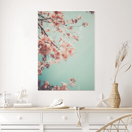 Plakat samoprzylepny Gałąź kwitnącej wiśni na tle niebieskiego nieba