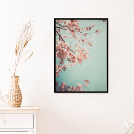 Plakat w ramie Gałąź kwitnącej wiśni na tle niebieskiego nieba