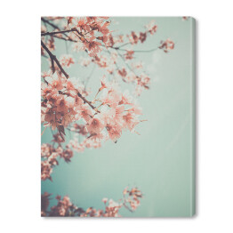 Obraz na płótnie Gałąź kwitnącej wiśni na tle niebieskiego nieba