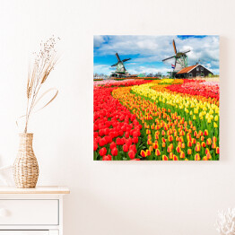 Obraz na płótnie Holenderskie wiatraki i barwne tulipany