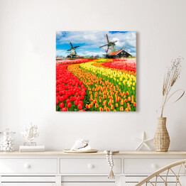 Obraz na płótnie Holenderskie wiatraki i barwne tulipany
