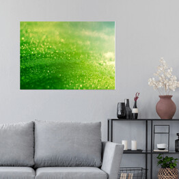 Plakat Deszcz spadający na zielony liść 