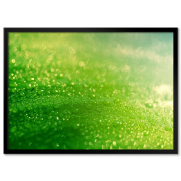Obraz klasyczny Deszcz spadający na zielony liść 