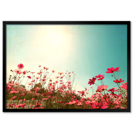 Plakat w ramie Kwiaty polne w słoneczny dzień
