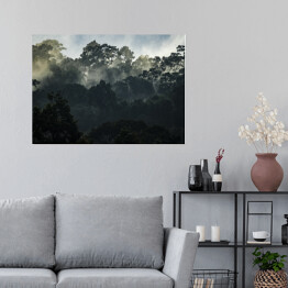 Plakat samoprzylepny Krajobraz z azjatyckim tropikalnym lasem deszczowym