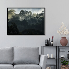 Plakat w ramie Krajobraz z azjatyckim tropikalnym lasem deszczowym