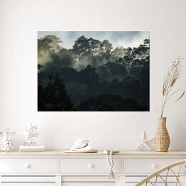 Plakat Krajobraz z azjatyckim tropikalnym lasem deszczowym