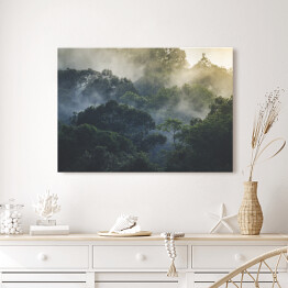 Obraz na płótnie Tropikalny las deszczowy we mgle, Azja
