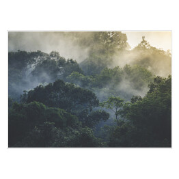 Plakat samoprzylepny Tropikalny las deszczowy we mgle, Azja