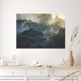 Plakat samoprzylepny Tropikalny las deszczowy we mgle, Azja