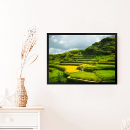 Obraz w ramie Wspinaczka po polach ryżowych