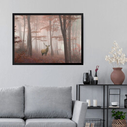 Obraz w ramie Jeleń w lesie we mgle jesienią