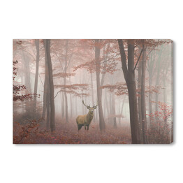 Obraz na płótnie Jeleń w lesie we mgle jesienią