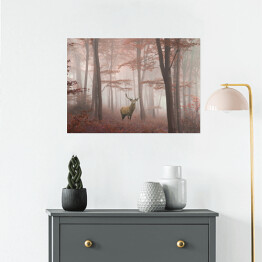 Plakat samoprzylepny Jeleń w lesie we mgle jesienią