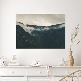 Plakat samoprzylepny Szare niebo nad mglistym lasem