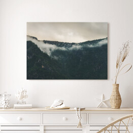 Obraz na płótnie Szare niebo nad mglistym lasem