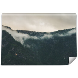 Fototapeta samoprzylepna Szare niebo nad mglistym lasem