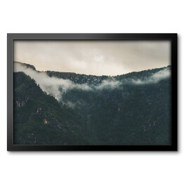 Obraz w ramie Szare niebo nad mglistym lasem