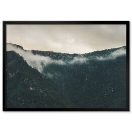 Plakat w ramie Szare niebo nad mglistym lasem