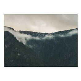 Plakat Szare niebo nad mglistym lasem