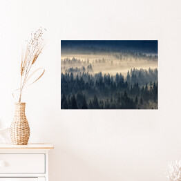 Plakat samoprzylepny Las iglasty w mglistych górach