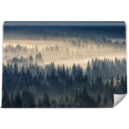 Fototapeta samoprzylepna Las iglasty w mglistych górach