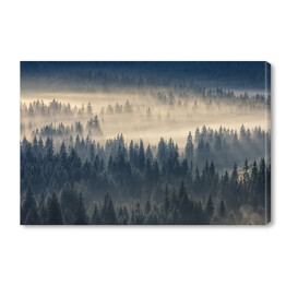 Obraz na płótnie Las iglasty w mglistych górach