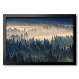 Obraz w ramie Las iglasty w mglistych górach