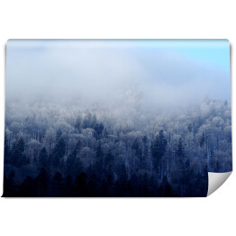 Fototapeta winylowa zmywalna Zimowy krajobraz