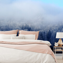 Fototapeta winylowa zmywalna Zimowy krajobraz
