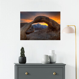 Plakat Samotna sosna na wzgórzach Alabamy, USA