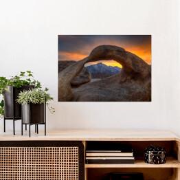 Plakat samoprzylepny Samotna sosna na wzgórzach Alabamy, USA
