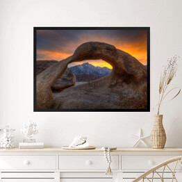Obraz w ramie Samotna sosna na wzgórzach Alabamy, USA