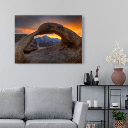 Obraz na płótnie Samotna sosna na wzgórzach Alabamy, USA