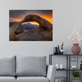 Plakat samoprzylepny Samotna sosna na wzgórzach Alabamy, USA