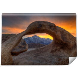 Fototapeta samoprzylepna Samotna sosna na wzgórzach Alabamy, USA