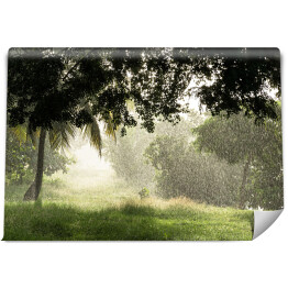 Fototapeta winylowa zmywalna Tropikalny deszcz w promieniach słońca