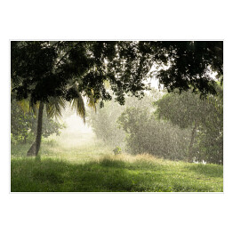 Plakat Tropikalny deszcz w promieniach słońca