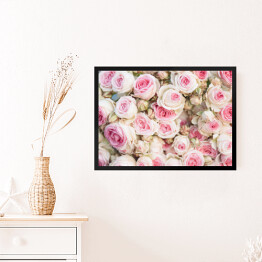 Obraz w ramie Dywan ułożony z jasnych róż